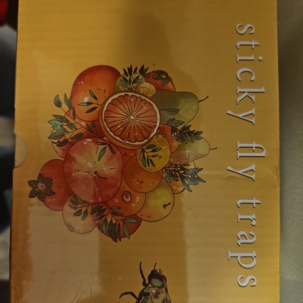 Sticky Fly Traps - 40 Count